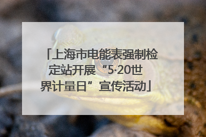 上海市电能表强制检定站开展“5·20世界计量日”宣传活动