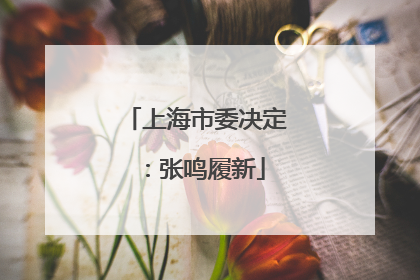 上海市委决定：张鸣履新