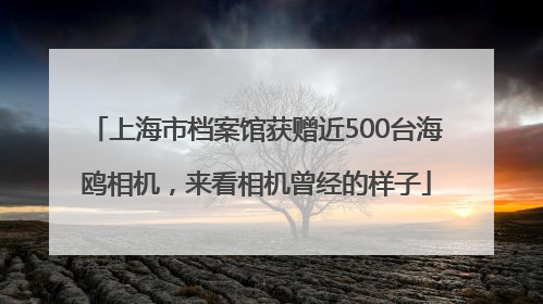 上海市档案馆获赠近500台海鸥相机，来看相机曾经的样子