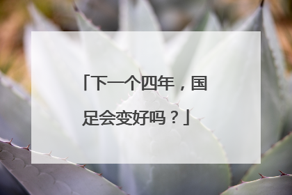 下一个四年，国足会变好吗？