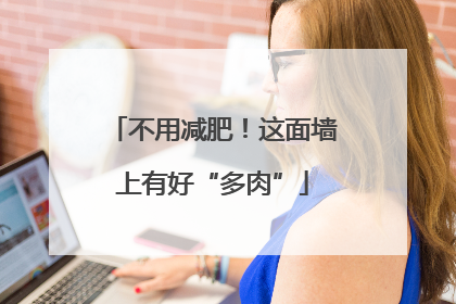 不用减肥！这面墙上有好“多肉”