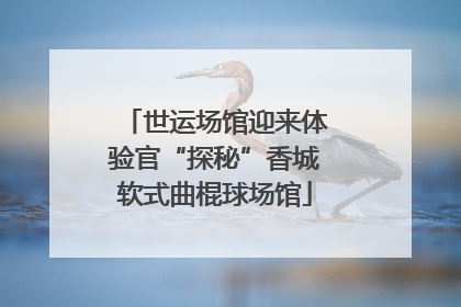 世运场馆迎来体验官“探秘”香城软式曲棍球场馆