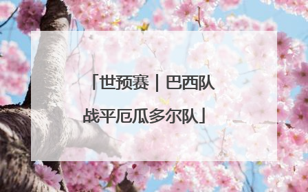 世预赛｜巴西队战平厄瓜多尔队