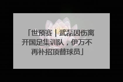 世预赛｜武磊因伤离开国足集训队，伊万不再补招顶替球员