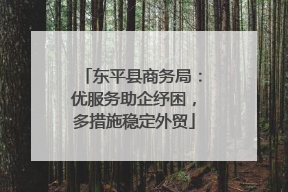 东平县商务局：优服务助企纾困，多措施稳定外贸
