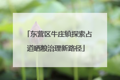 东营区牛庄镇探索占道晒粮治理新路径