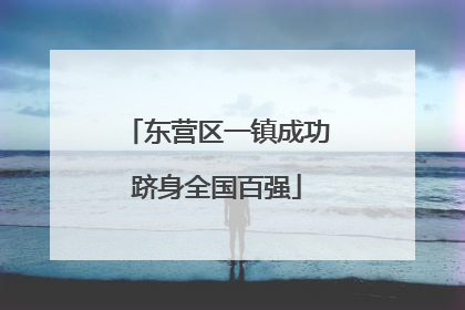东营区一镇成功跻身全国百强