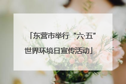 东营市举行“六·五”世界环境日宣传活动