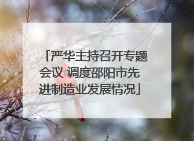 严华主持召开专题会议 调度邵阳市先进制造业发展情况