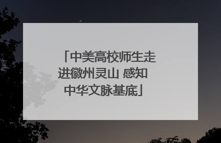 中美高校师生走进徽州灵山 感知中华文脉基底