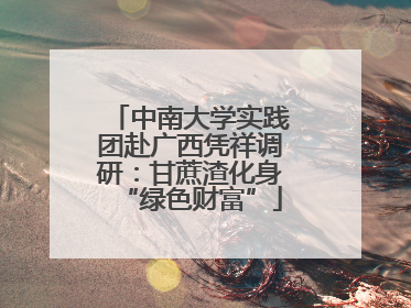 中南大学实践团赴广西凭祥调研：甘蔗渣化身“绿色财富”