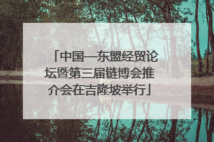 中国—东盟经贸论坛暨第三届链博会推介会在吉隆坡举行