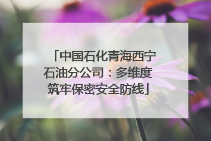 中国石化青海西宁石油分公司：多维度筑牢保密安全防线