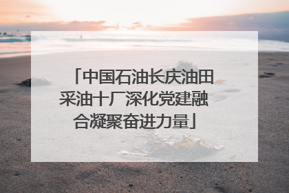 中国石油长庆油田采油十厂深化党建融合凝聚奋进力量