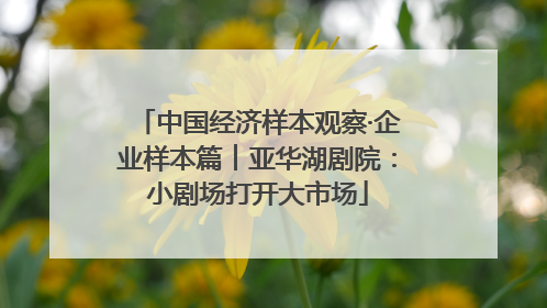 中国经济样本观察·企业样本篇︱亚华湖剧院：小剧场打开大市场