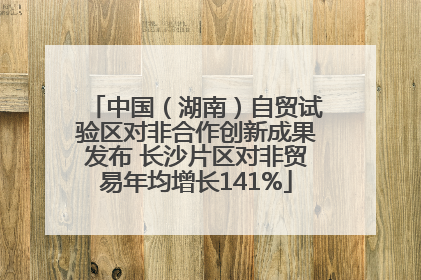 中国（湖南）自贸试验区对非合作创新成果发布 长沙片区对非贸易年均增长141%