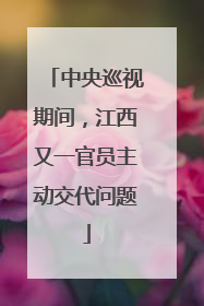 中央巡视期间，江西又一官员主动交代问题