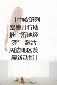 中欧班列密集开行助推“落地经济” 激活周边地区发展新动能