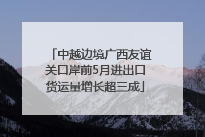 中越边境广西友谊关口岸前5月进出口货运量增长超三成