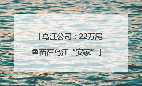 乌江公司：22万尾鱼苗在乌江“安家”