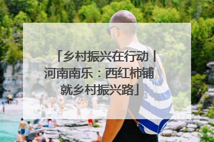 乡村振兴在行动丨河南南乐：西红柿铺就乡村振兴路