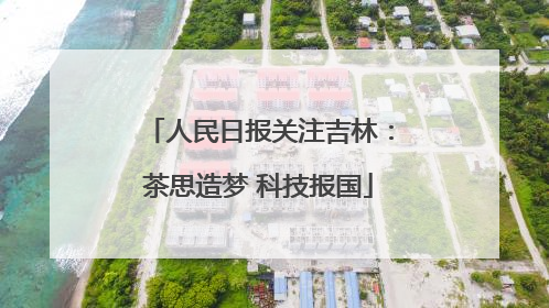 人民日报关注吉林：茶思造梦 科技报国