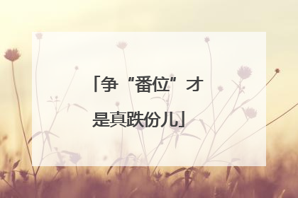 争“番位”才是真跌份儿
