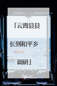 云霄县县长到和平乡调研
