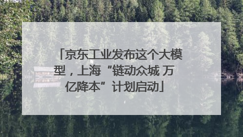 京东工业发布这个大模型，上海“链动众城 万亿降本”计划启动