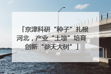 京津科研“种子”扎根河北，产业“土壤”培育创新“参天大树”