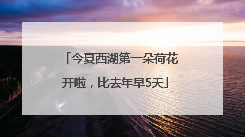 今夏西湖第一朵荷花开啦，比去年早5天