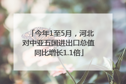 今年1至5月，河北对中亚五国进出口总值同比增长1.1倍