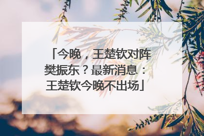 今晚，王楚钦对阵樊振东？最新消息：王楚钦今晚不出场