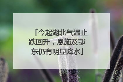 今起湖北气温止跌回升，恩施及鄂东仍有明显降水