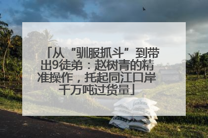 从“驯服抓斗”到带出9徒弟：赵树青的精准操作，托起同江口岸千万吨过货量