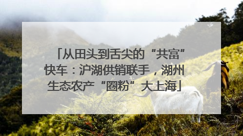 从田头到舌尖的“共富”快车：沪湖供销联手，湖州生态农产“圈粉”大上海