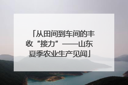 从田间到车间的丰收“接力”——山东夏季农业生产见闻