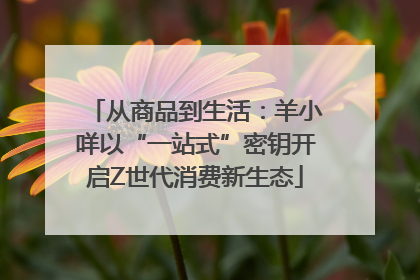 从商品到生活：羊小咩以“一站式”密钥开启Z世代消费新生态