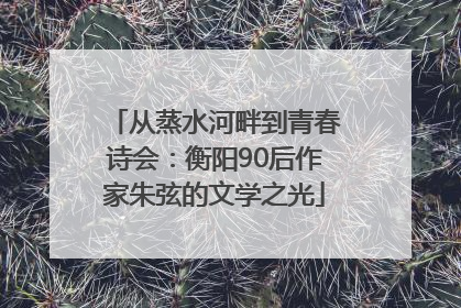 从蒸水河畔到青春诗会：衡阳90后作家朱弦的文学之光