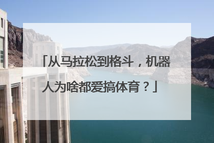 从马拉松到格斗，机器人为啥都爱搞体育？