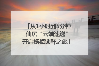 从1小时到5分钟 仙居“云端速递”开启杨梅锁鲜之旅