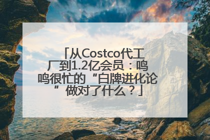 从Costco代工厂到1.2亿会员：鸣鸣很忙的“白牌进化论”做对了什么？