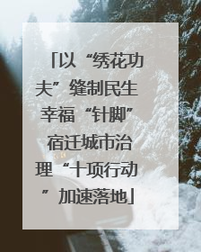 以“绣花功夫”缝制民生幸福“针脚” 宿迁城市治理“十项行动”加速落地
