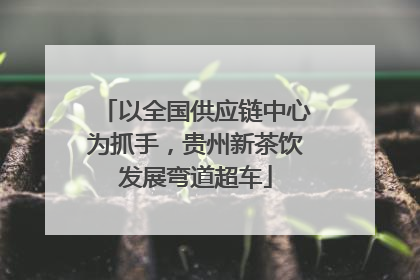 以全国供应链中心为抓手，贵州新茶饮发展弯道超车
