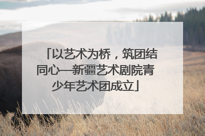 以艺术为桥，筑团结同心—新疆艺术剧院青少年艺术团成立
