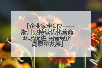 企业家坐C位——淅川县持续优化营商环境促进 民营经济高质量发展
