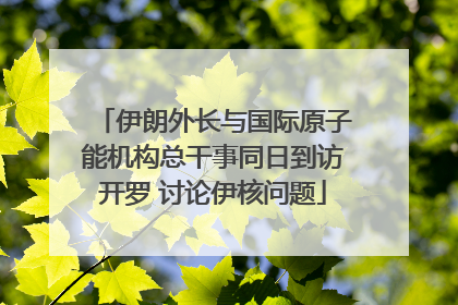 伊朗外长与国际原子能机构总干事同日到访开罗 讨论伊核问题