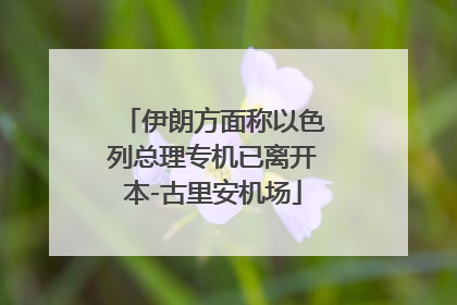 伊朗方面称以色列总理专机已离开本-古里安机场