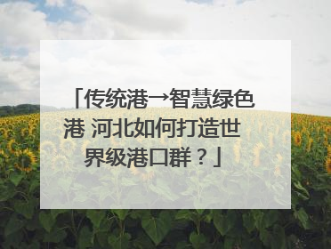 传统港→智慧绿色港 河北如何打造世界级港口群？