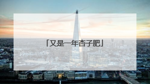 又是一年杏子肥